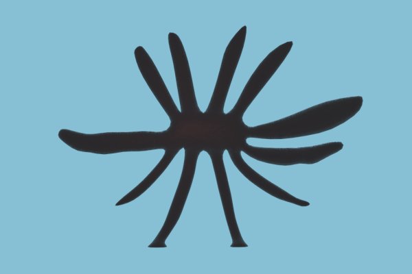 Tor kraken маркет