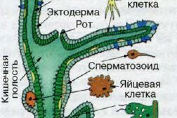 Кракен 20 at
