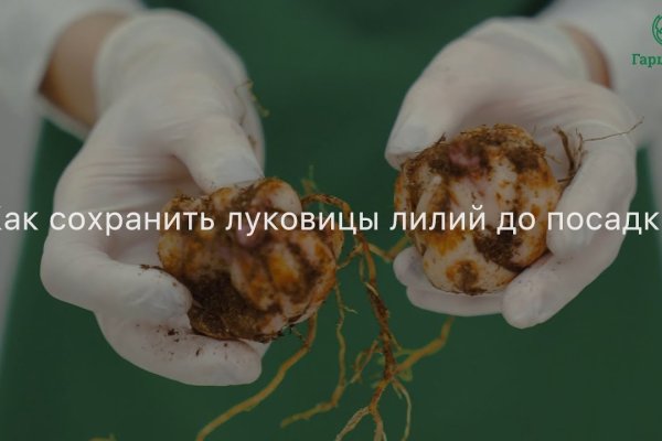 Пользователь не найден при входе на кракен
