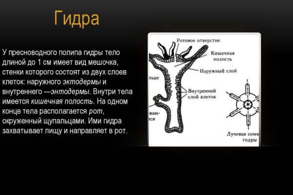 Кракен даркнет только через тор