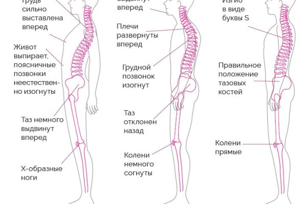 Ссылка на кракен через тор