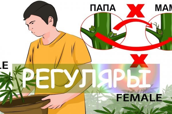 Зайти в кракен