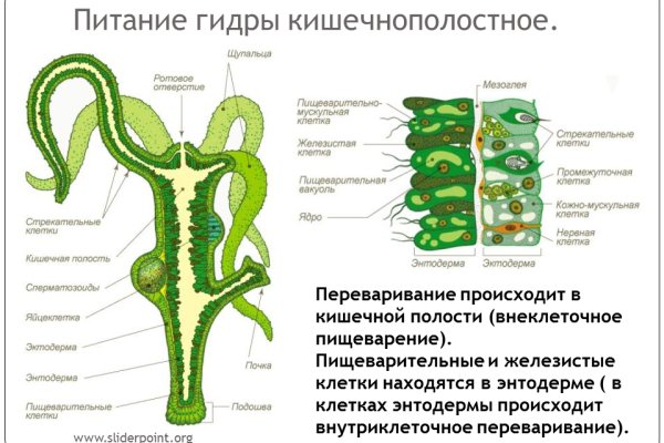Как зайти на маркетплейс кракен