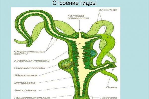 Kra40.cc Вход на сайт главная страница